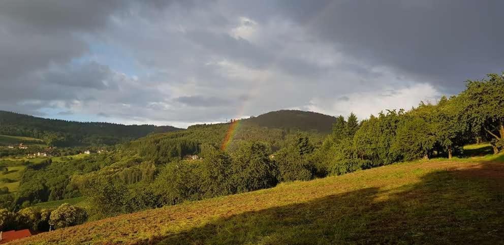 Bikehikesleep Apartments Sasbachwalden Zewnętrze zdjęcie