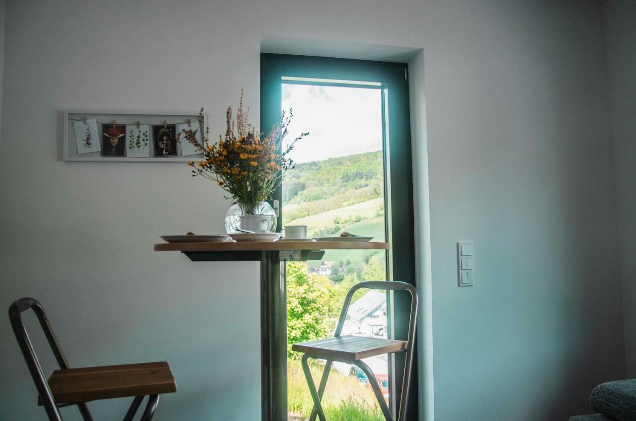 Bikehikesleep Apartments Sasbachwalden Zewnętrze zdjęcie
