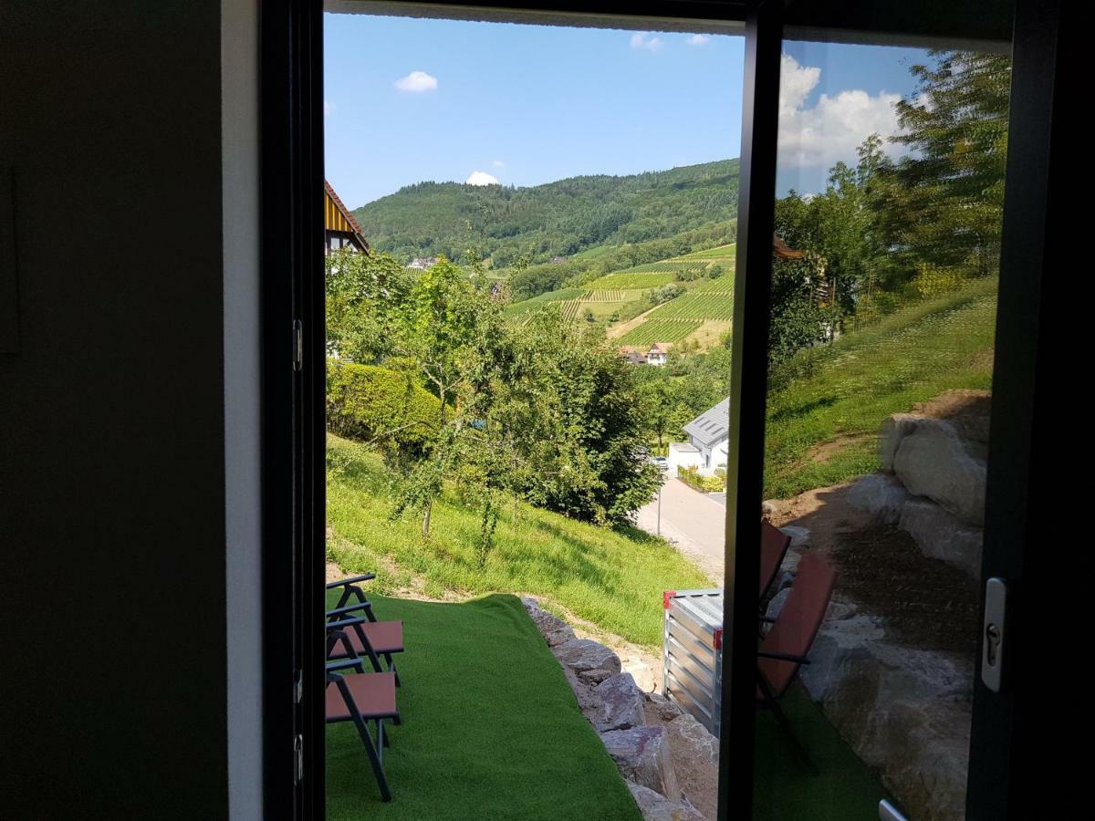 Bikehikesleep Apartments Sasbachwalden Zewnętrze zdjęcie